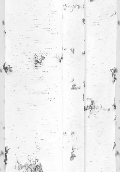 Родные просторы панели ПВХ Витопласт 2,7х0,25м (термопечать), продажа по цене 264 руб. Характеристики, фото, описание и отзывы. Действуют акции и скидки. Доставка по Москве и области ☎️ 8 (495) 324-00-05 Ремиком