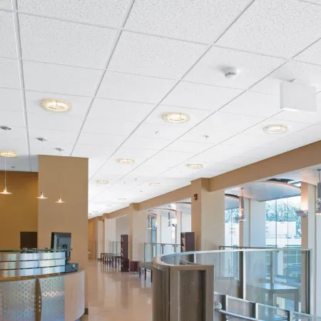 Dune MicroLook Supreme плита потолочная Armstrong 600х600х15мм, продажа по цене 348 руб. Характеристики, фото, описание и отзывы. Действуют акции и скидки. Доставка по Москве и области ☎️ 8 (495) 324-00-05 Ремиком