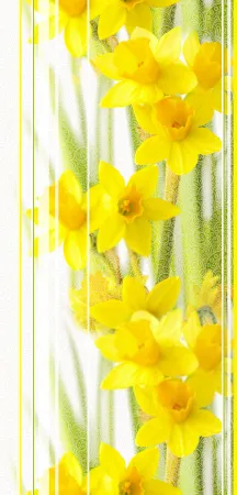 Нарцисс панели ПВХ Витопласт 2,7х0,25м (термопечать), продажа по цене 260 руб. Характеристики, фото, описание и отзывы. Действуют акции и скидки. Доставка по Москве и области ☎️ 8 (495) 324-00-05 Ремиком