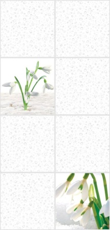 Подснежники панели ПВХ Витопласт 2,7х0,25м (термопечать), продажа по цене 260 руб. Характеристики, фото, описание и отзывы. Действуют акции и скидки. Доставка по Москве и области ☎️ 8 (495) 324-00-05 Ремиком