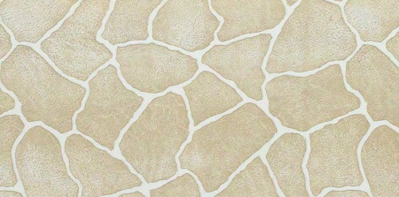 Панель стеновая МДФ КАМЕНЬ КАПРИ "СТИЛЬНЫЙ ДОМ" 2440х1220х6мм, продажа по цене 2 453 руб. Характеристики, фото, описание и отзывы. Действуют акции и скидки. Доставка по Москве и области ☎️ 8 (495) 324-00-05 Ремиком